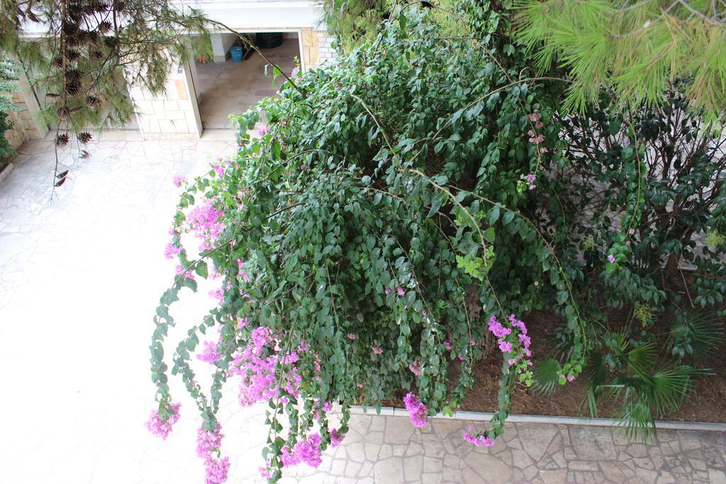 Wanda - Residenza Di Charme Bed & Breakfast Trani